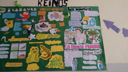 IMG_20150618_140602707