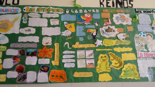 IMG_20150618_140611373