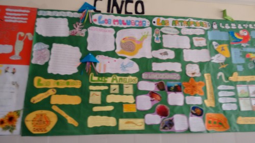 IMG_20150618_140619218