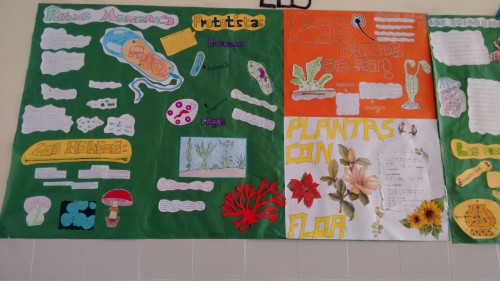 IMG_20150618_140629514