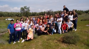 IMG_20150410_123331150