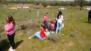 IMG_20150410_124211641