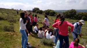 IMG_20150410_130659881